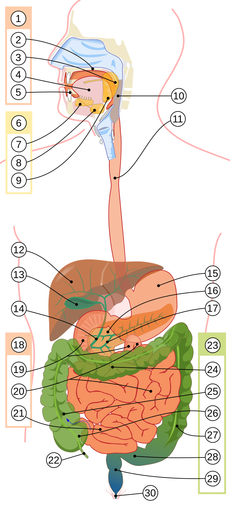 Question illustration for Q1