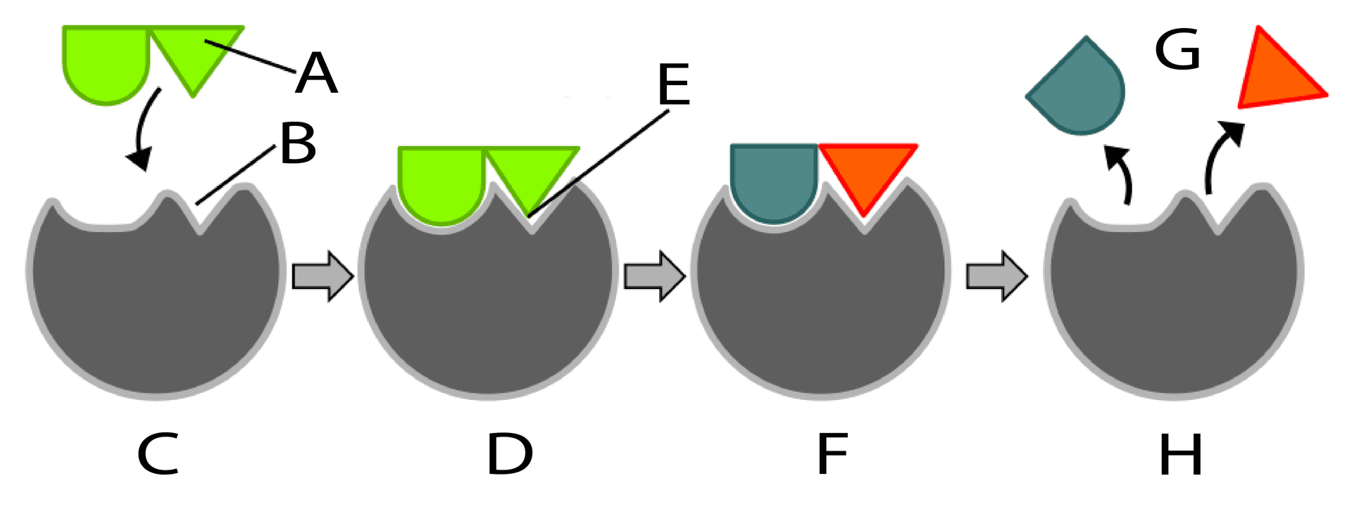 Question illustration for Q1