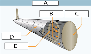 Question illustration for Q1